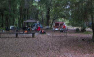 Jeanene A.'s photo at Flat Island Preserve near Fruitland Park, FL