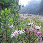 Review photo of Flat Island Preserve by Jeanene A., May 9, 2018