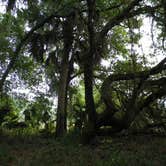 Review photo of Flat Island Preserve by Jeanene A., May 9, 2018