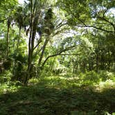 Review photo of Flat Island Preserve by Jeanene A., May 9, 2018