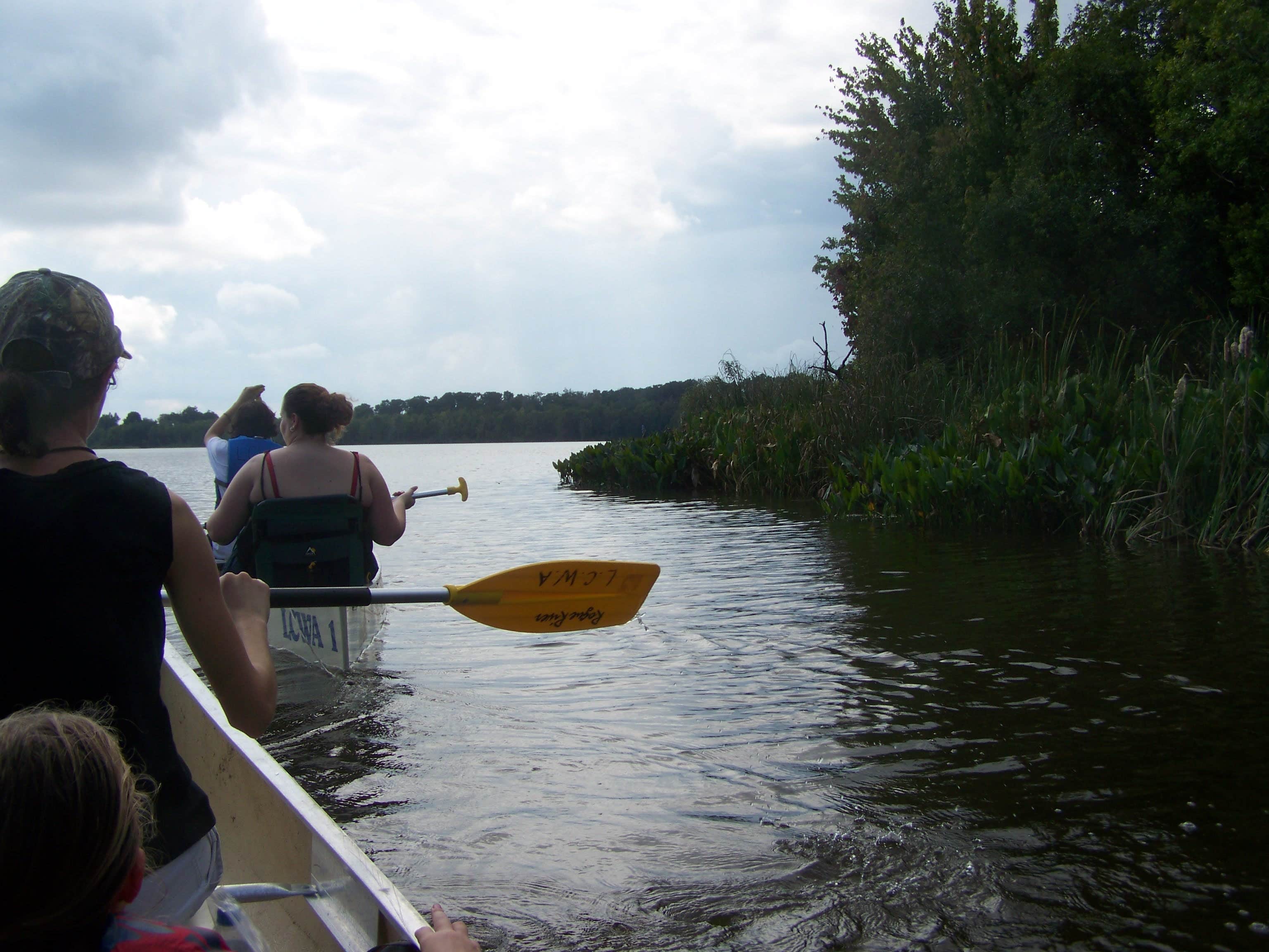 Camper-submitted photo at Flat Island Preserve near Wildwood, FL