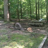 Review photo of Houchin Ferry Campground — Mammoth Cave National Park by David , August 29, 2020