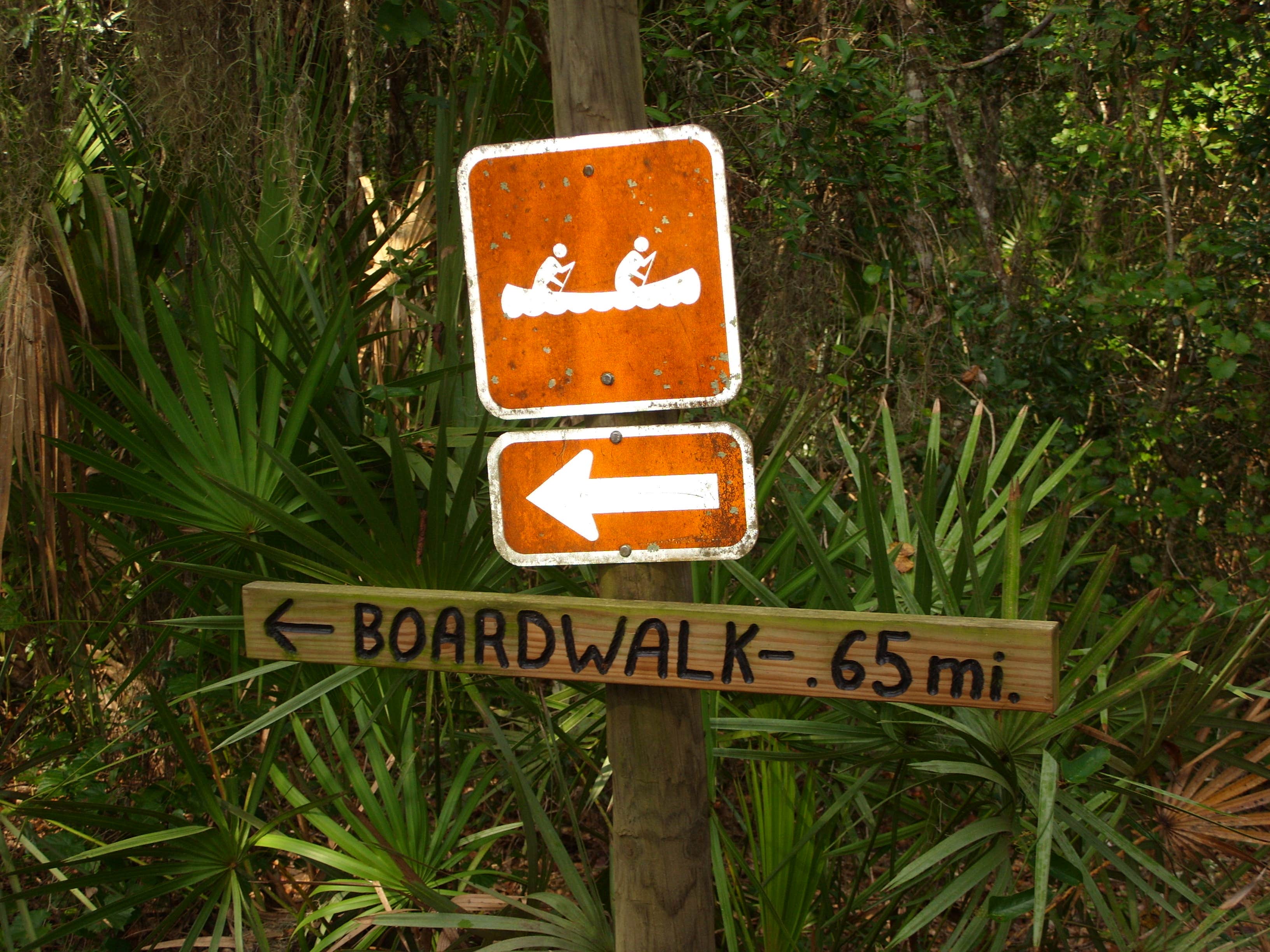 Camper-submitted photo at Flat Island Preserve near Wildwood, FL