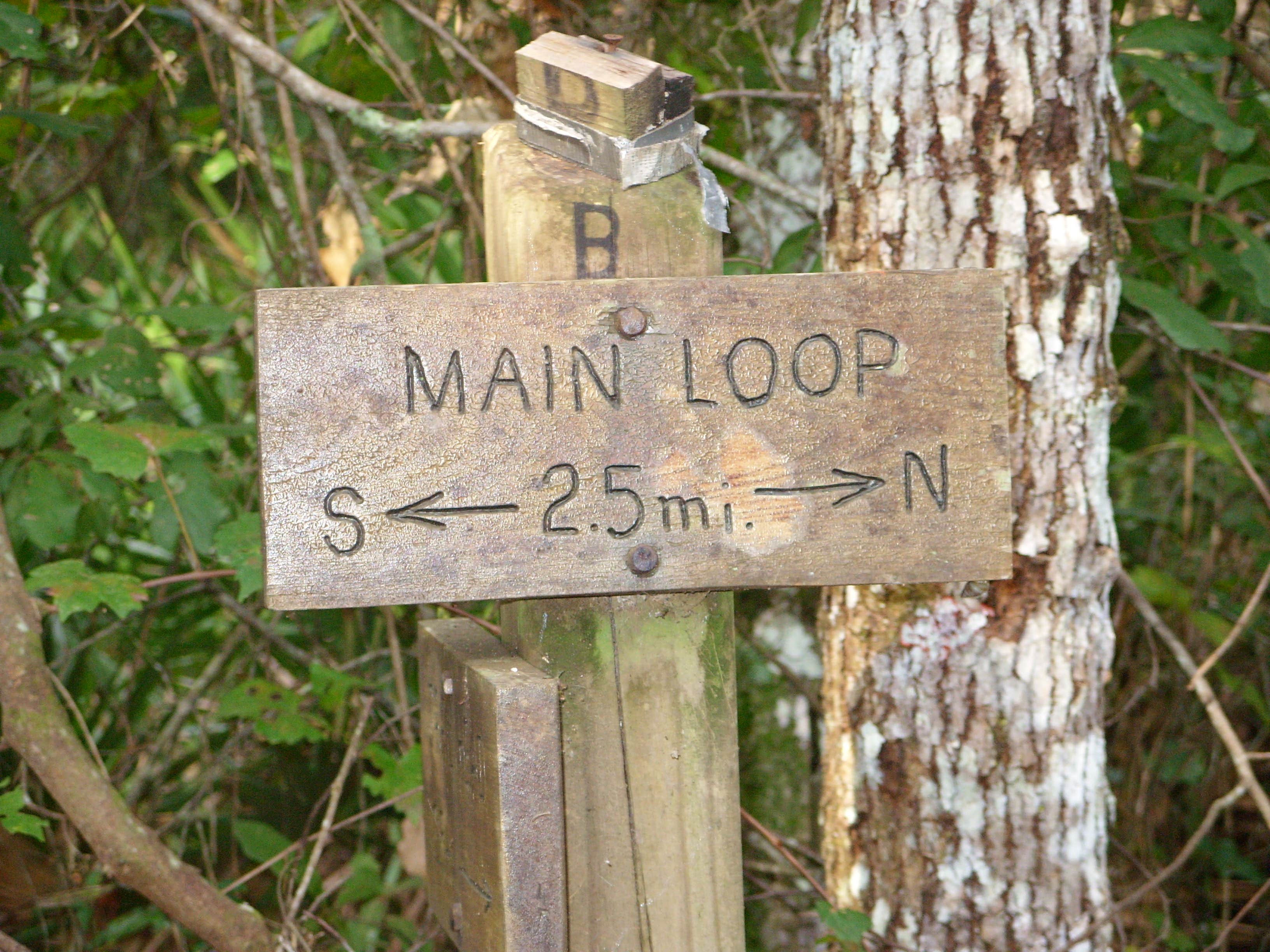 Camper-submitted photo at Flat Island Preserve near Wildwood, FL