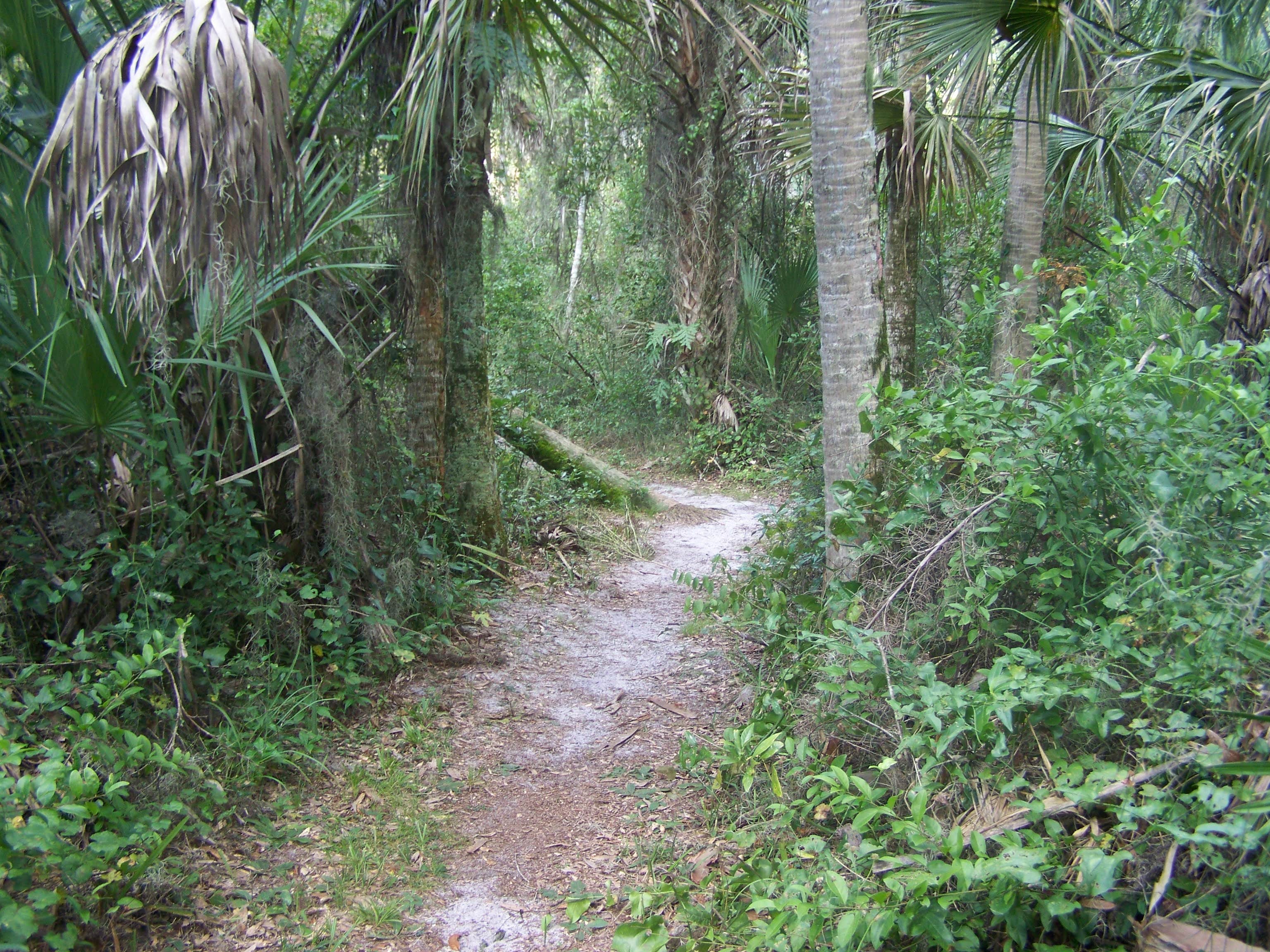 Camper-submitted photo at Flat Island Preserve near Wildwood, FL