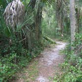 Review photo of Flat Island Preserve by Jeanene A., May 9, 2018