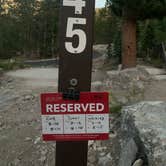 Review photo of Fallen Leaf Campground - South Lake Tahoe by Zachary C., August 12, 2020