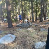 Review photo of Fallen Leaf Campground - South Lake Tahoe by Zachary C., August 12, 2020