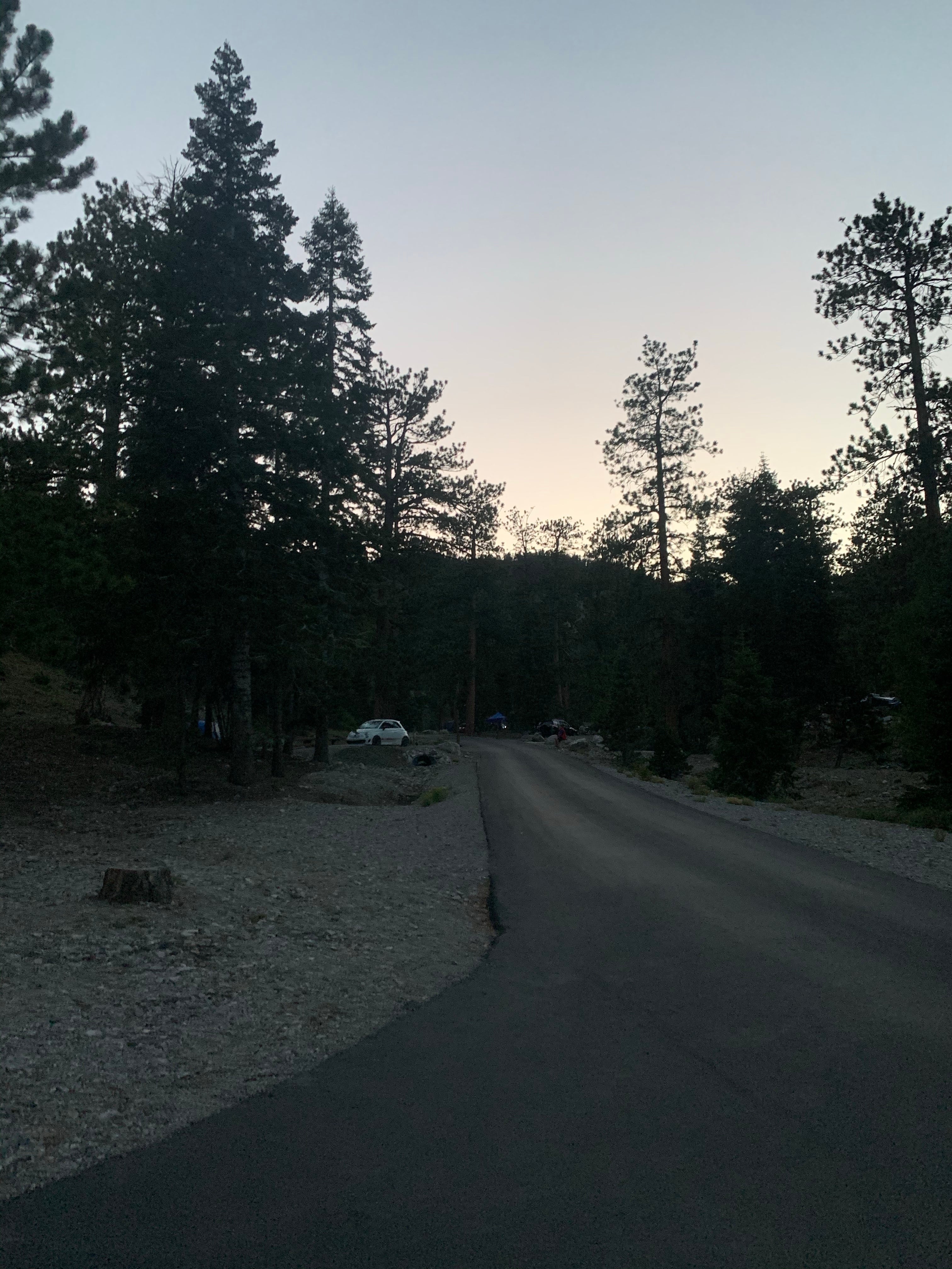 Camper submitted image from Toiyabe National Forest McWilliams Campground - 3