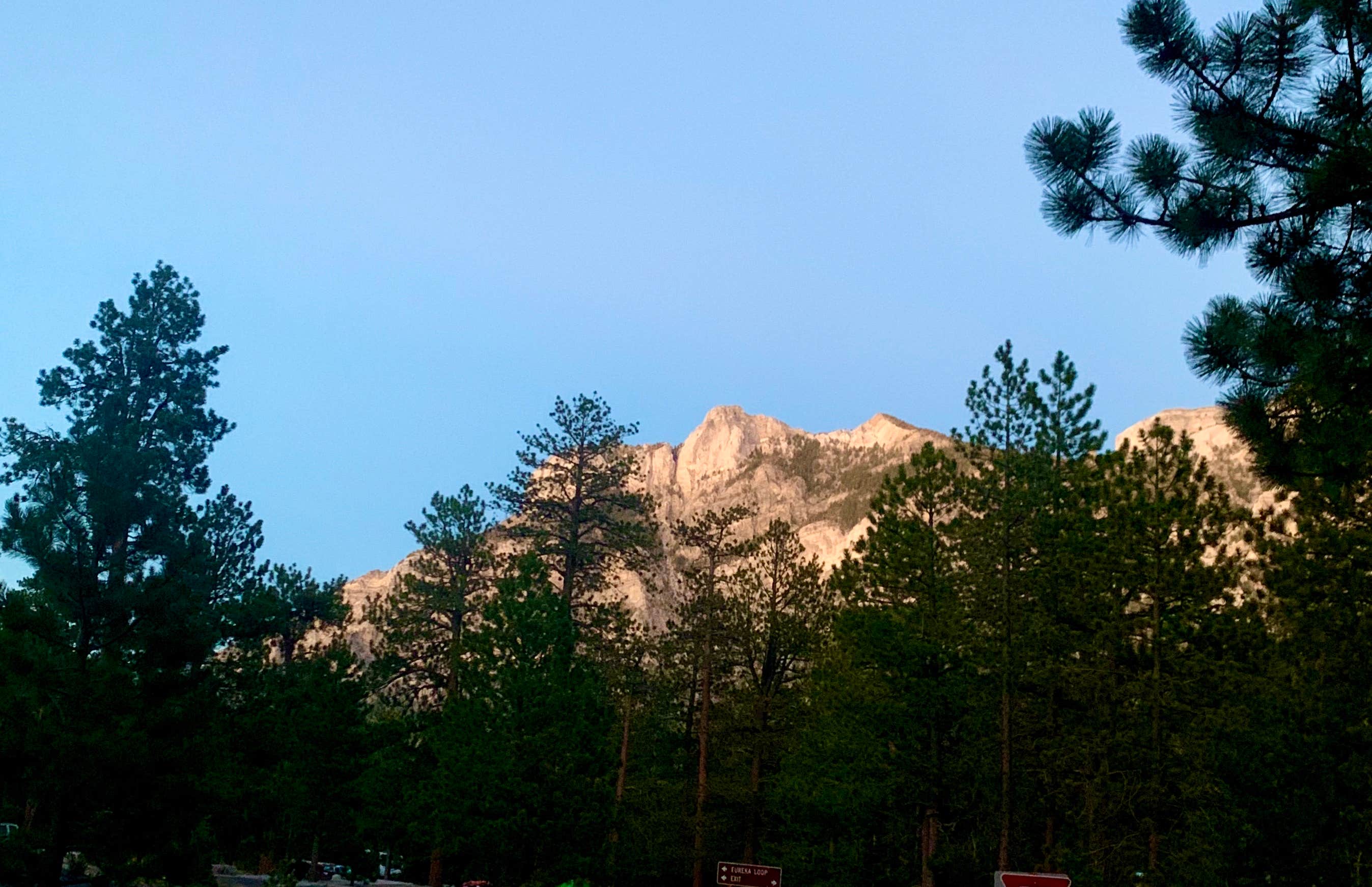 Camper-submitted photo at Toiyabe National Forest McWilliams Campground near Indian Springs, NV