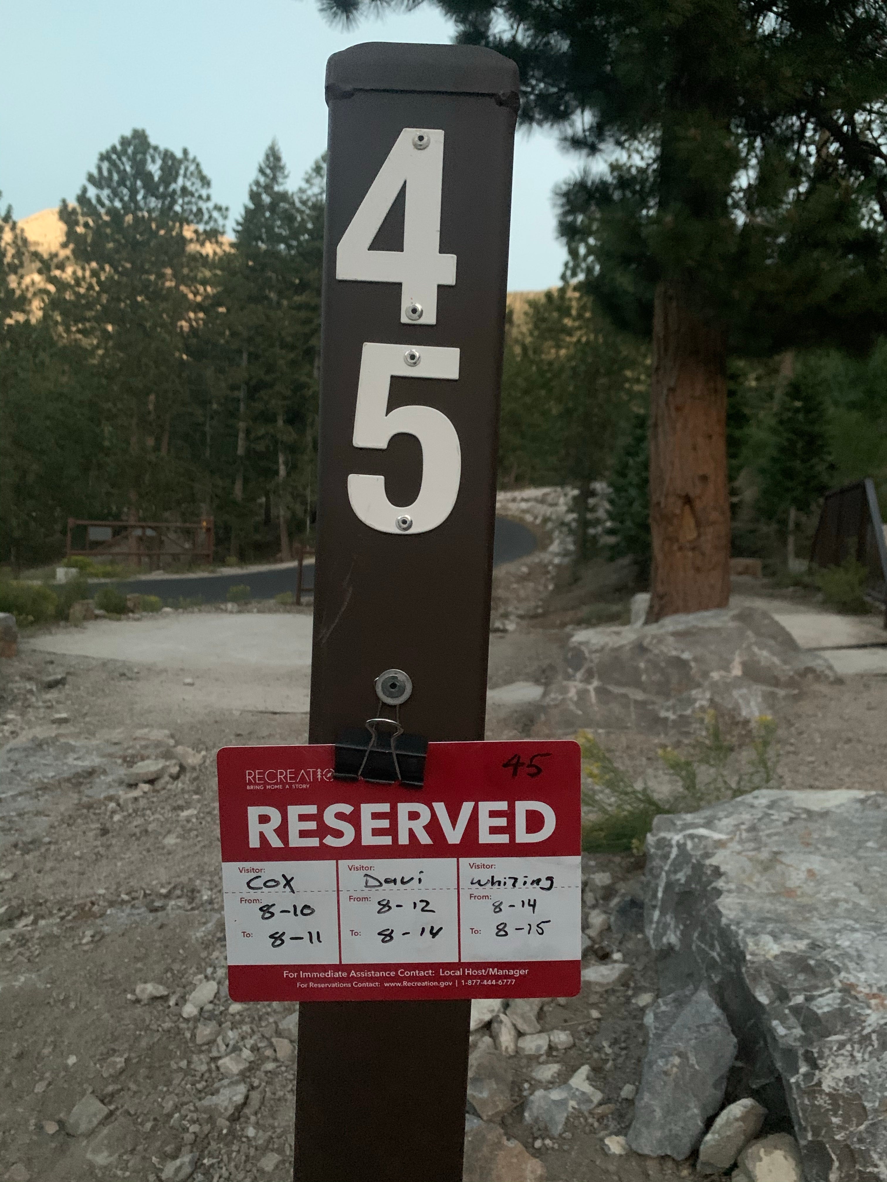Camper submitted image from Toiyabe National Forest McWilliams Campground - 5