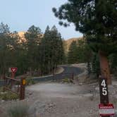 Review photo of Toiyabe National Forest McWilliams Campground by Zachary C., August 12, 2020