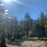 Review photo of Toiyabe National Forest McWilliams Campground by Zachary C., August 12, 2020