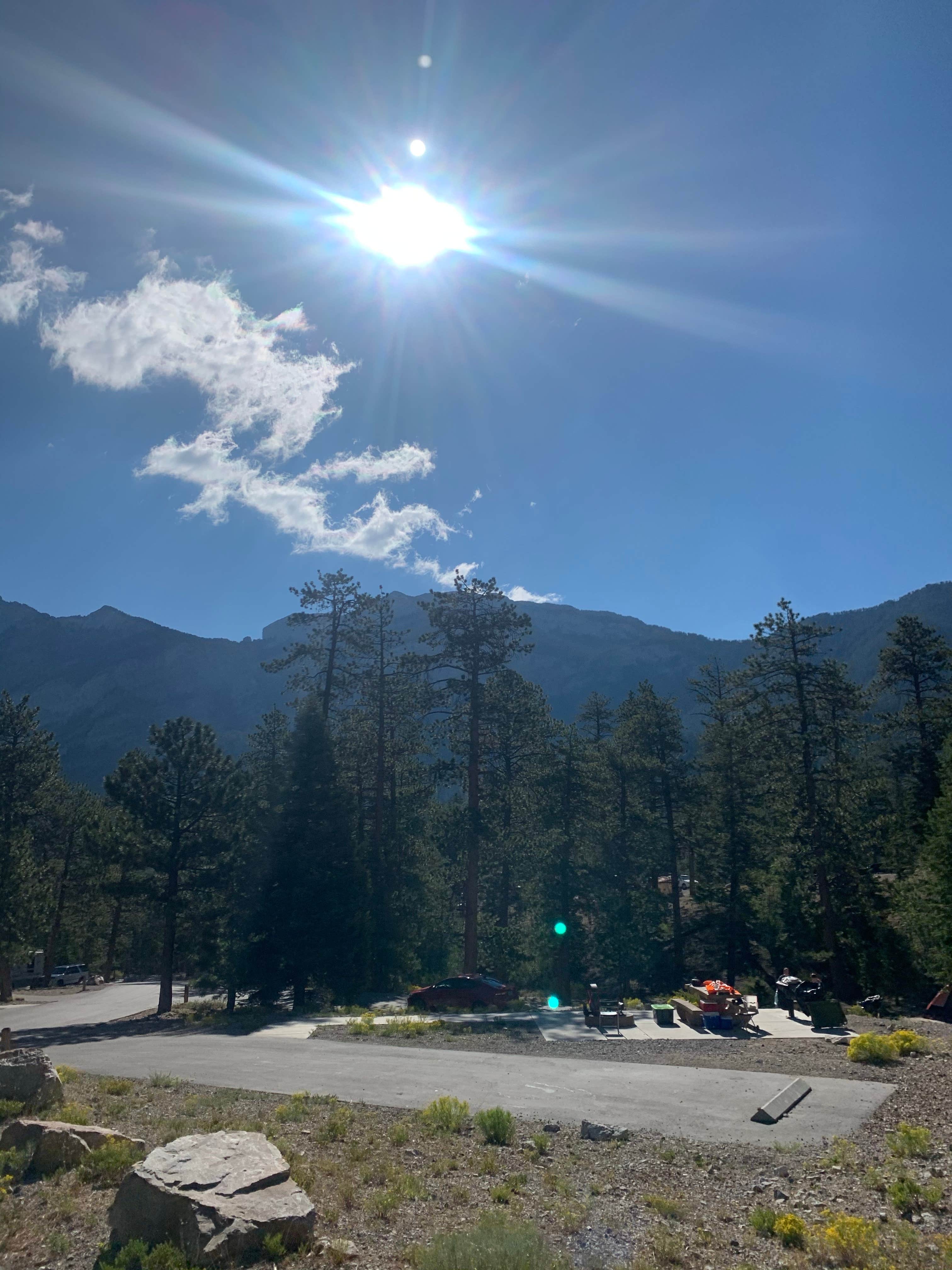 Camper-submitted photo at Toiyabe National Forest McWilliams Campground near Indian Springs, NV