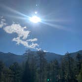 Review photo of Toiyabe National Forest McWilliams Campground by Zachary C., August 12, 2020