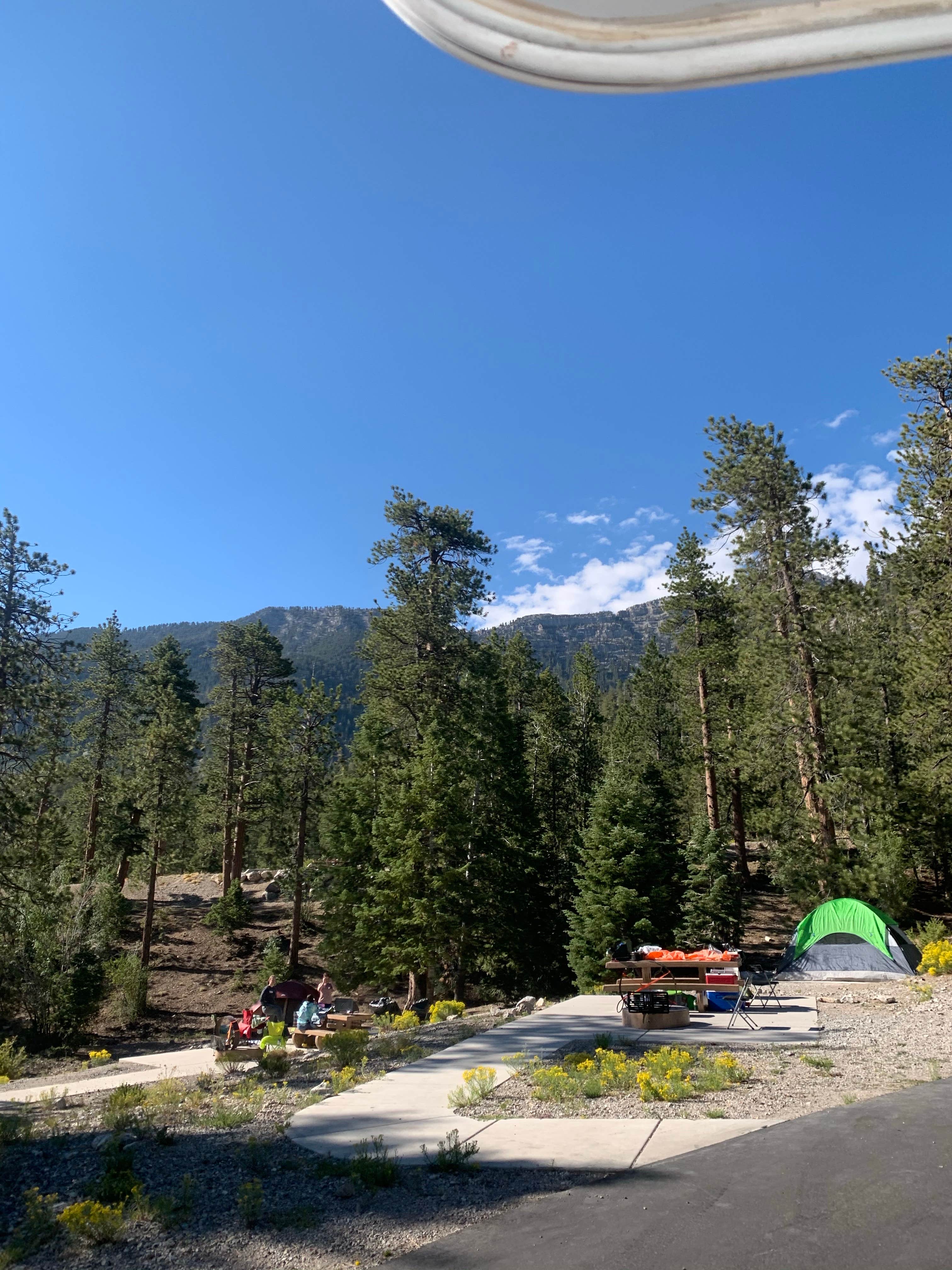 Zachary C.'s photo at Toiyabe National Forest McWilliams Campground near Tecopa, CA
