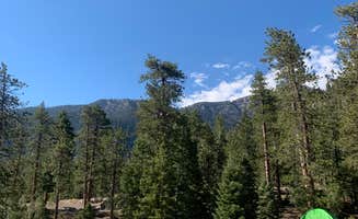 Zachary C.'s photo at Toiyabe National Forest McWilliams Campground near Tecopa, CA