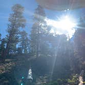 Review photo of Toiyabe National Forest McWilliams Campground by Zachary C., August 12, 2020