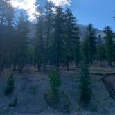 Review photo of Toiyabe National Forest McWilliams Campground by Zachary C., August 12, 2020