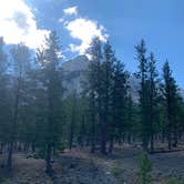 Review photo of Toiyabe National Forest McWilliams Campground by Zachary C., August 12, 2020