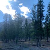 Review photo of Toiyabe National Forest McWilliams Campground by Zachary C., August 12, 2020