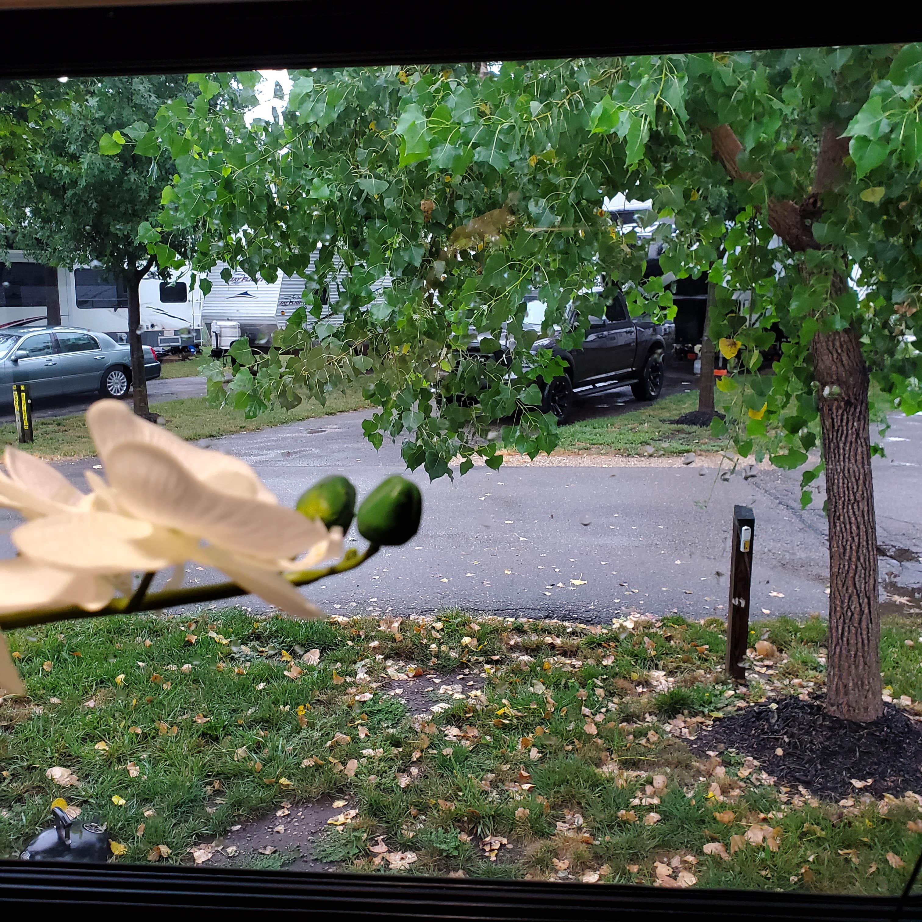Camper-submitted photo at Owl's Nest Campground near Milford Lake