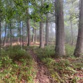 Review photo of Douthat State Park Campground by Gary G., August 29, 2020