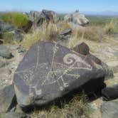 Review photo of Three Rivers Petroglyph Site by Rachel , August 29, 2020