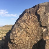 Review photo of Three Rivers Petroglyph Site by Rachel , August 29, 2020