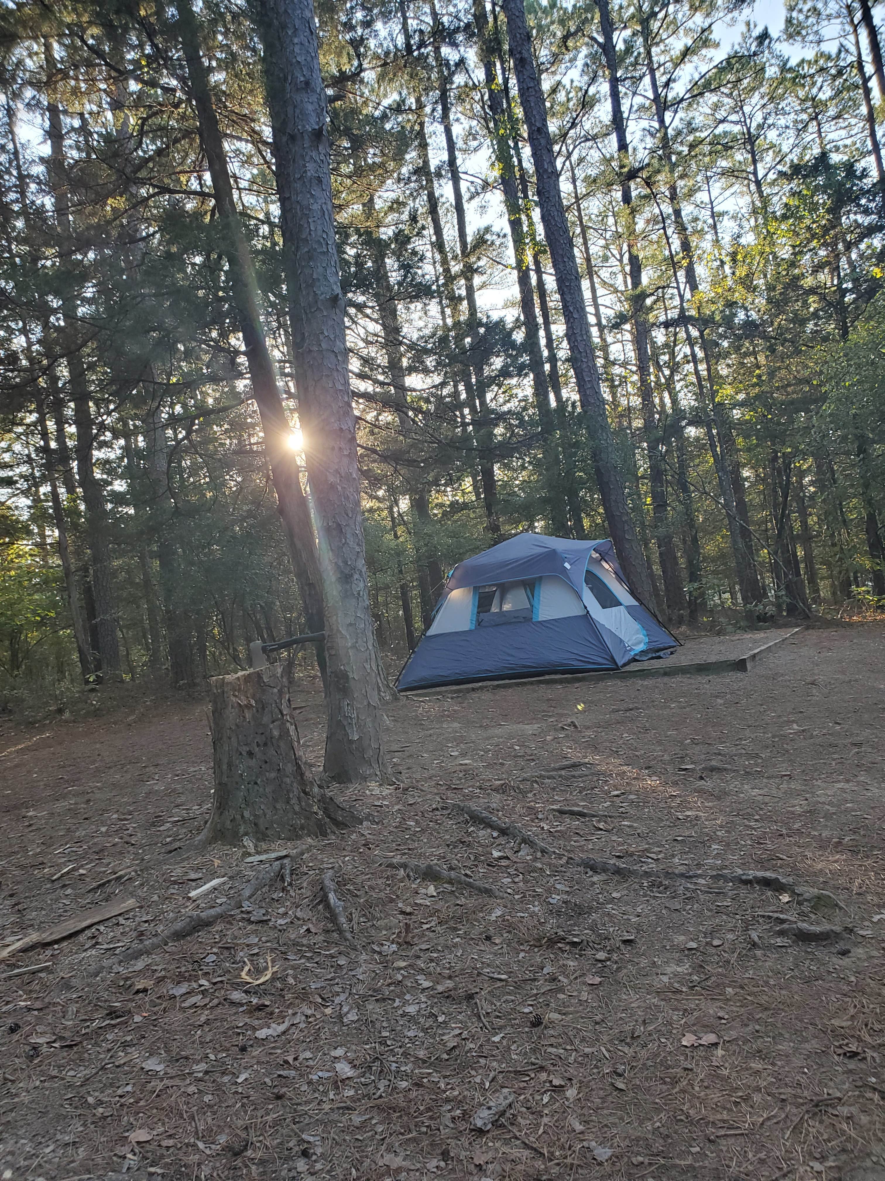 Melissa B.'s photo at Petit Jean State Park — Petit Jean State Park near Nimrod Lake