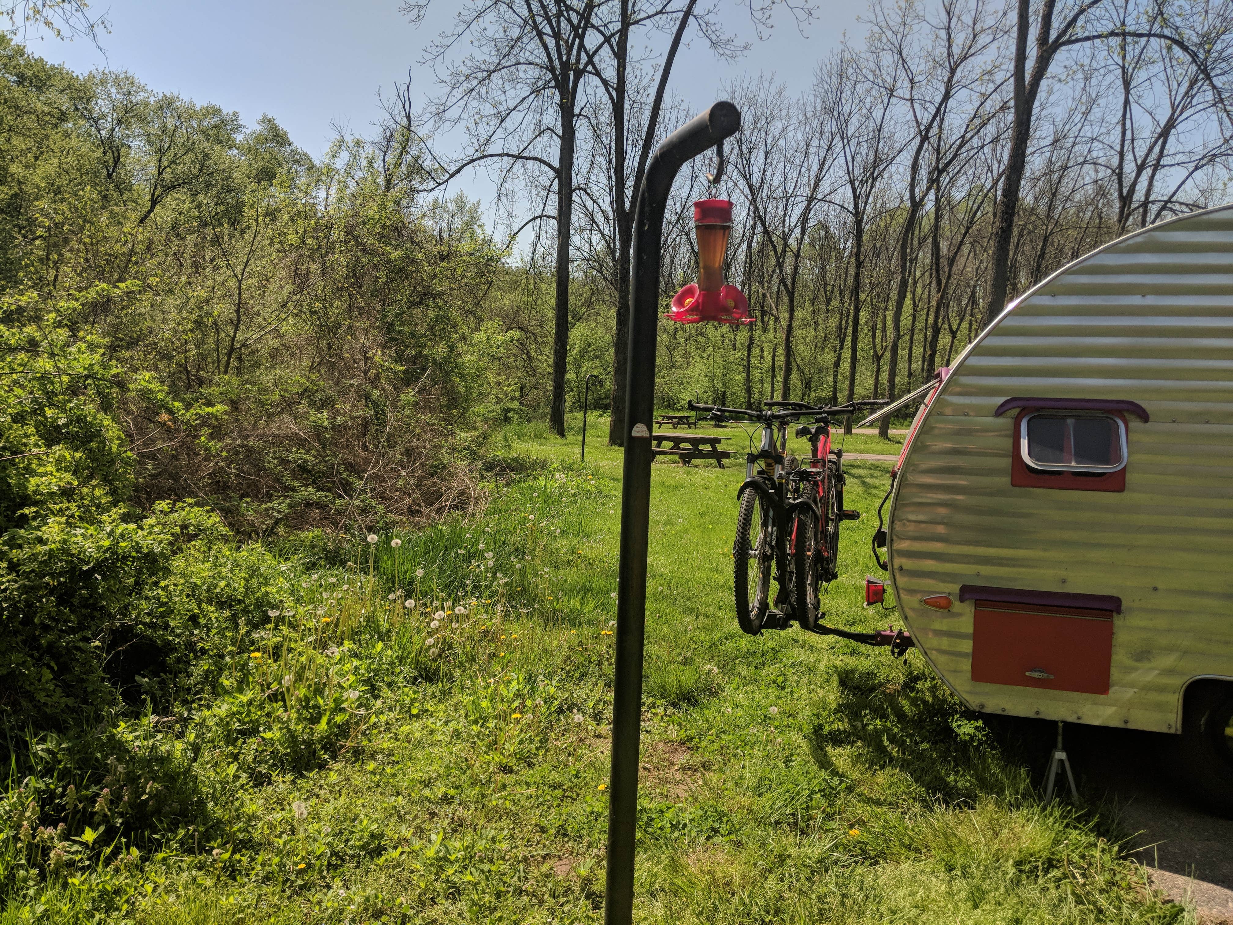 Camper-submitted photo at Lane Farm Campground near Waverly, WV