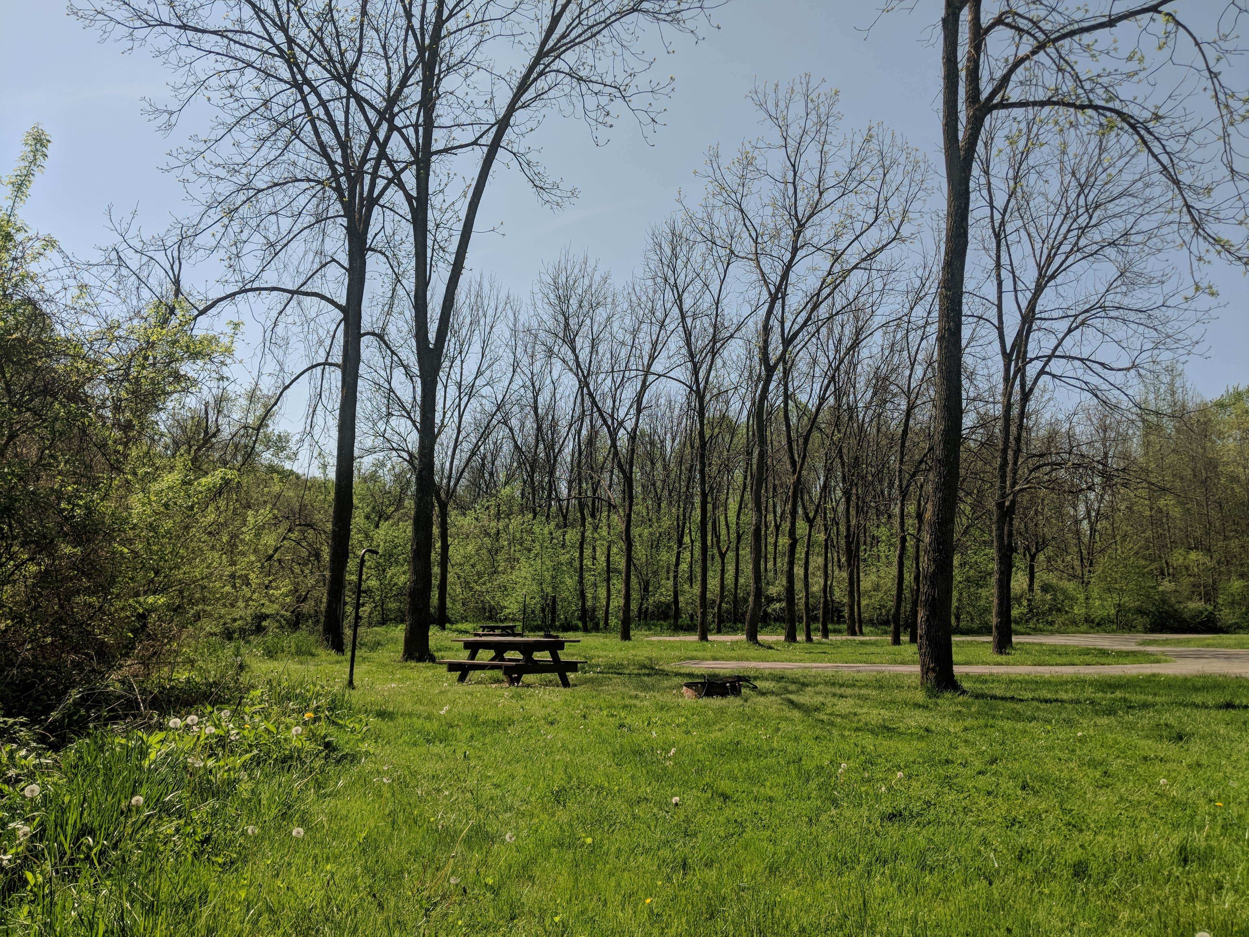 Camper-submitted photo at Lane Farm Campground near Waverly, WV