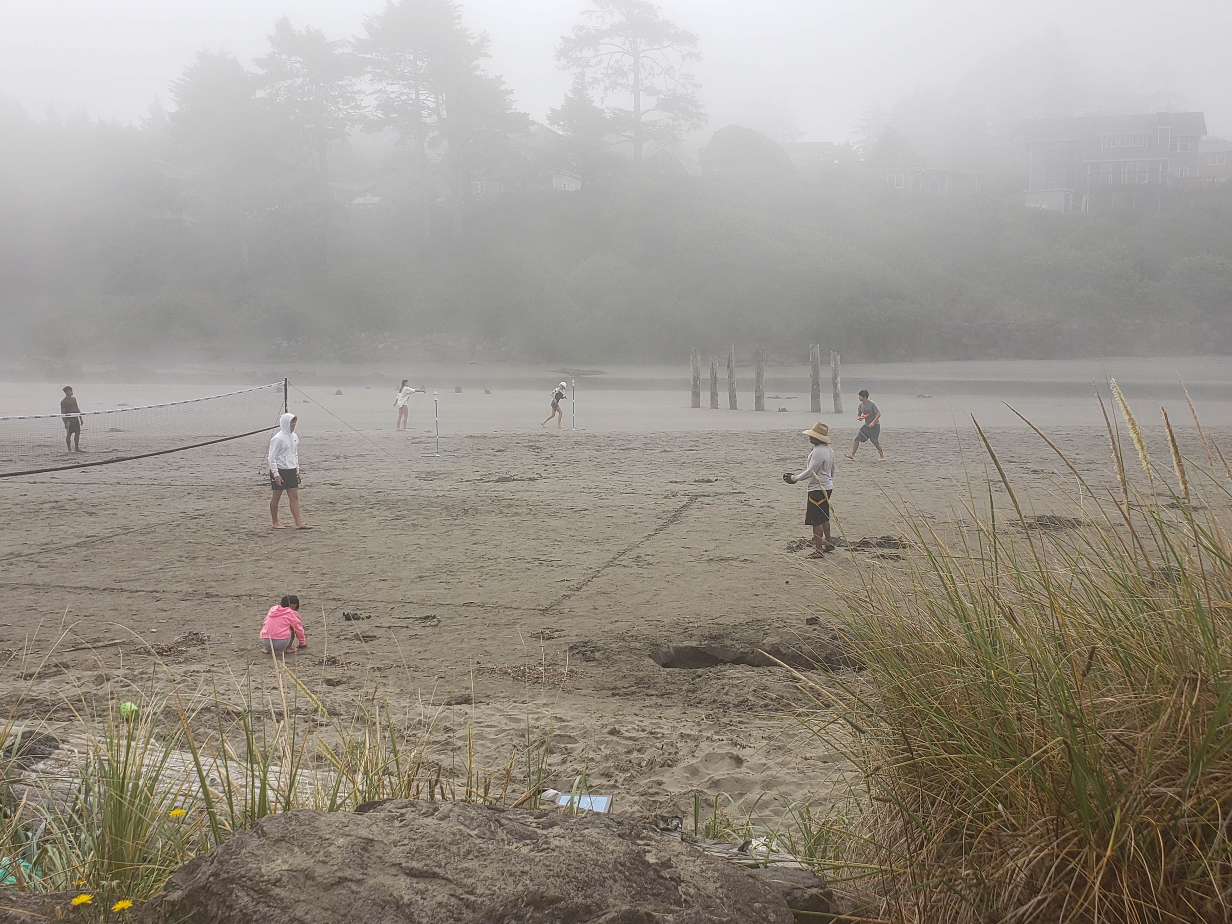 Camper-submitted photo at Pacific Beach State Park Campground near Aberdeen, WA