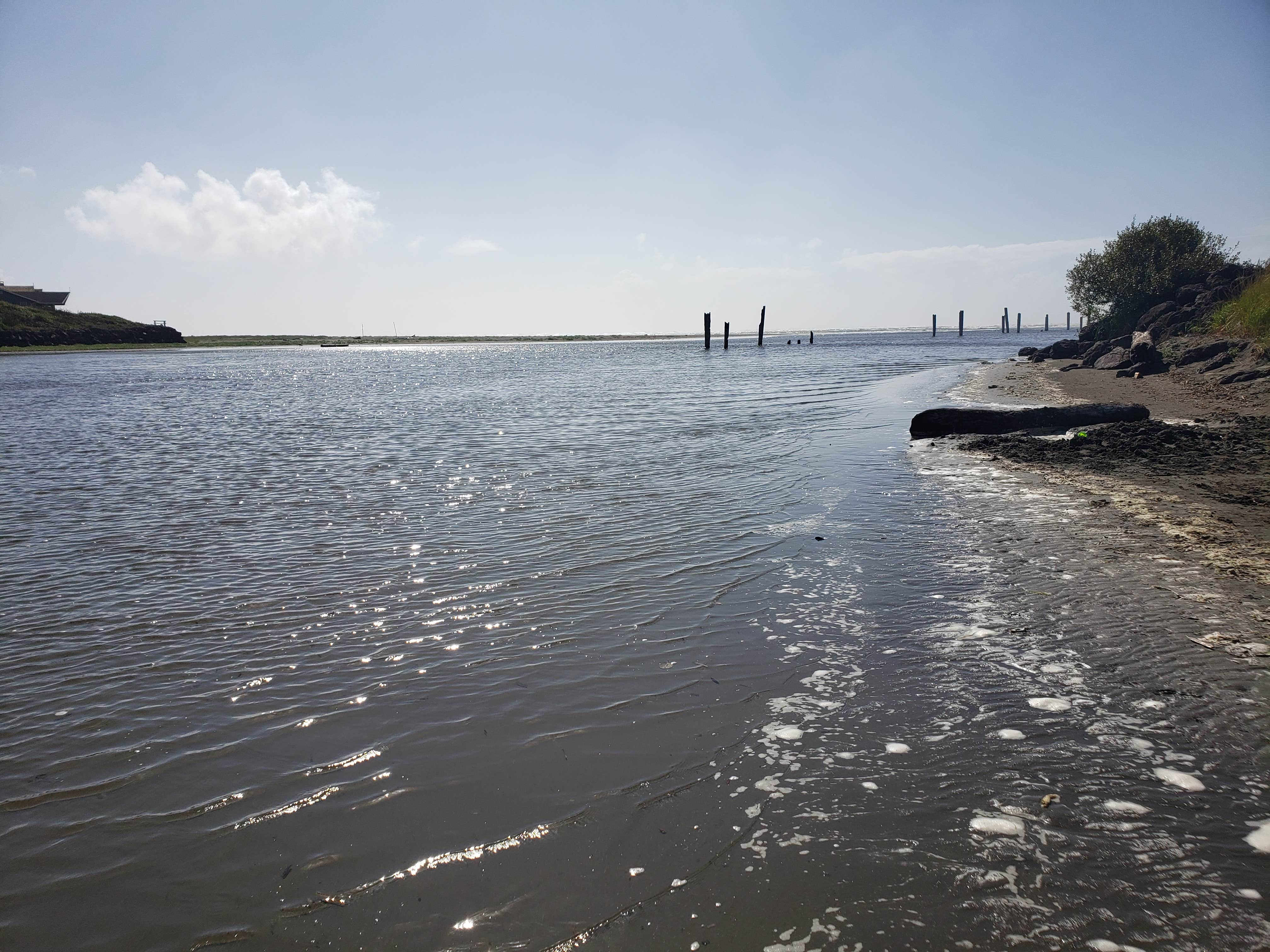 Camper-submitted photo at Pacific Beach State Park Campground near Aberdeen, WA