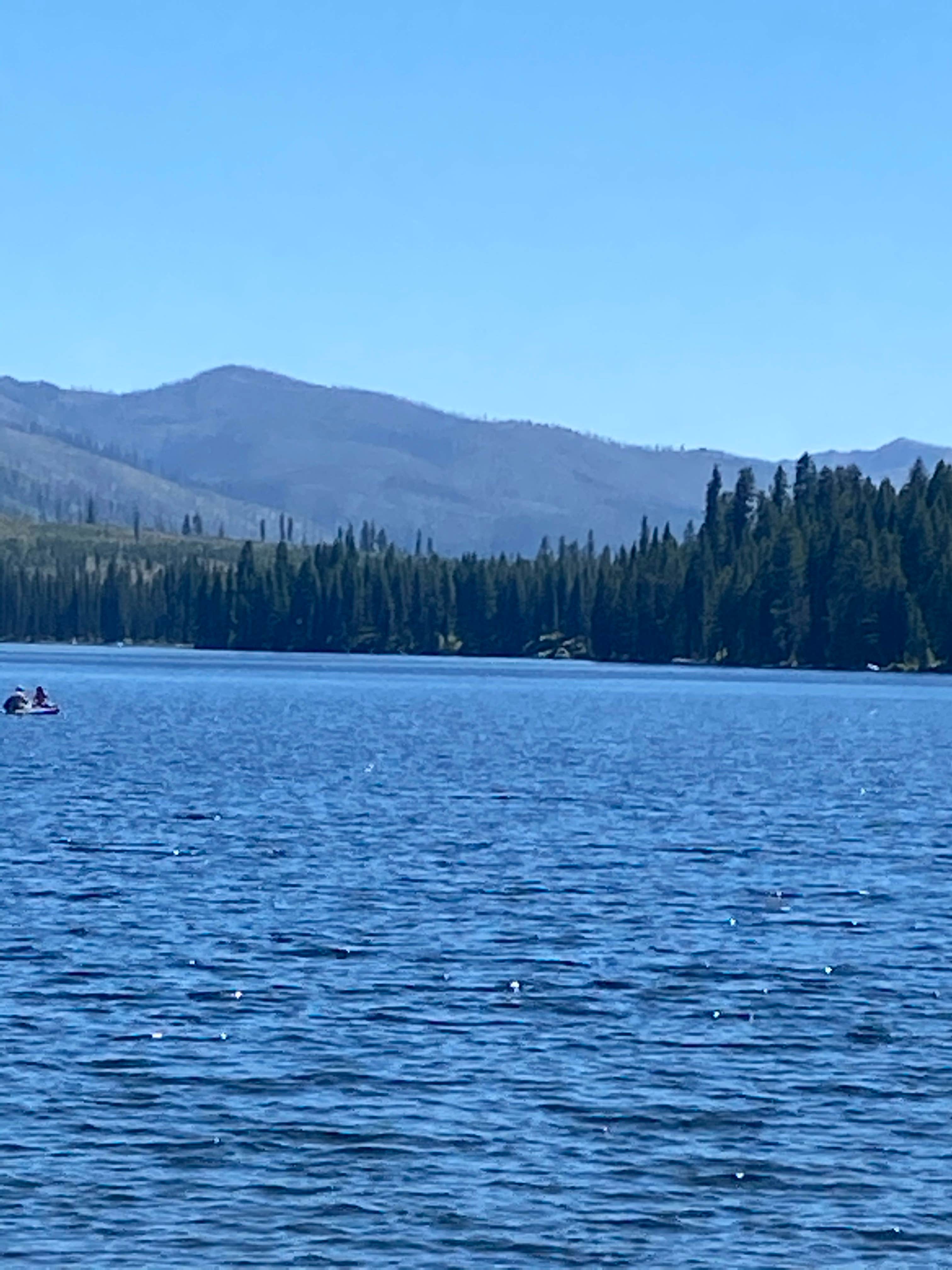 Camper submitted image from Boise National Forest Shoreline Campground - 5