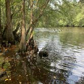 Review photo of Colleton State Park Campground by B+J S., August 29, 2020