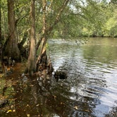 Review photo of Colleton State Park Campground by B+J S., August 29, 2020