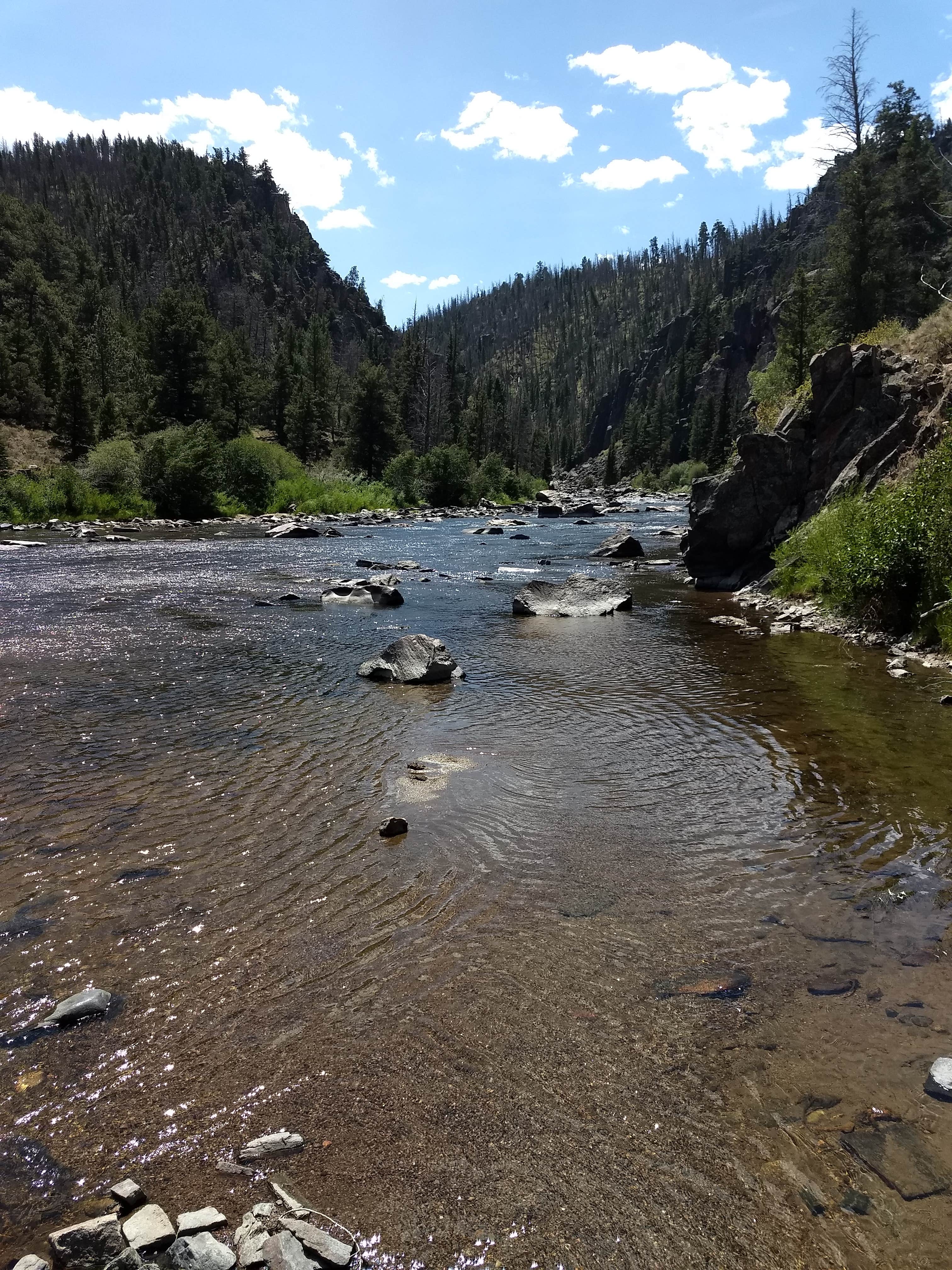 Camper-submitted photo at Wood Landing Campground near Jelm, WY