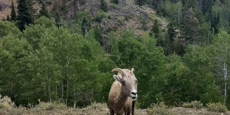 Camper submitted image from Wood Landing Campground