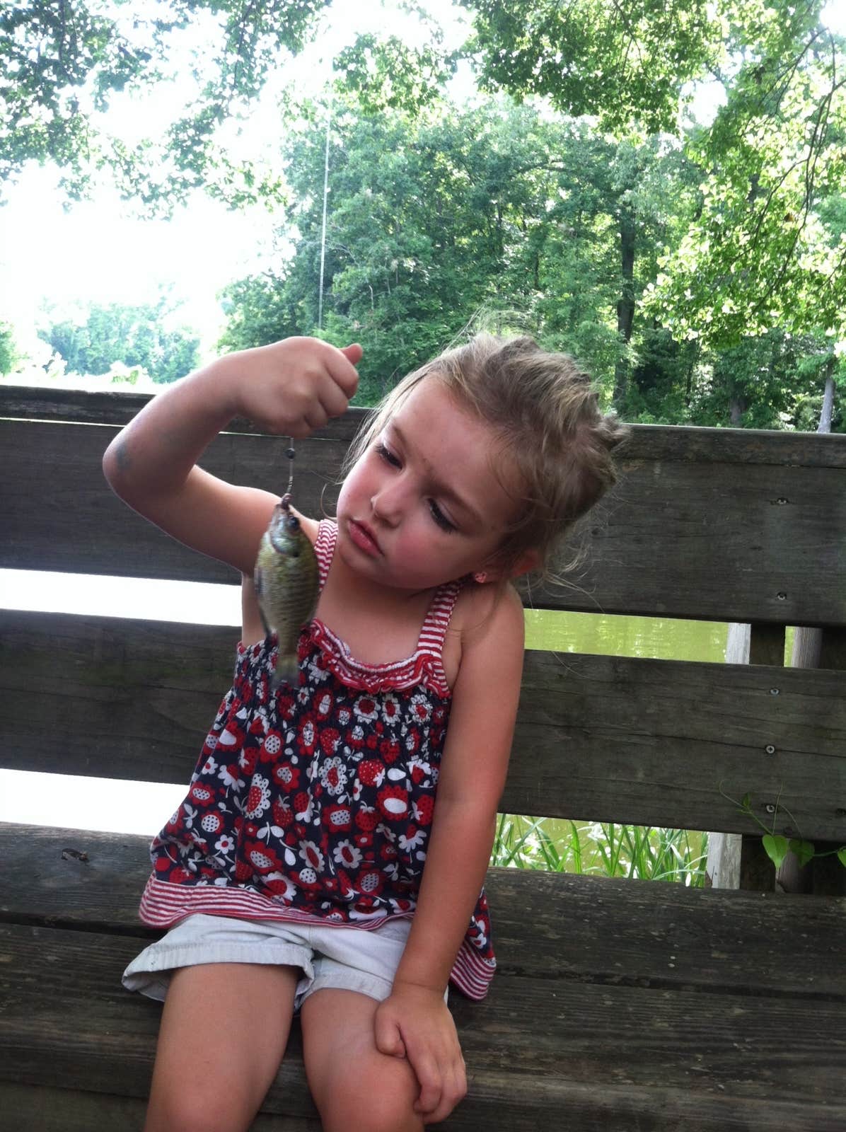 Camper-submitted photo at Jennings Ferry near Moundville, AL