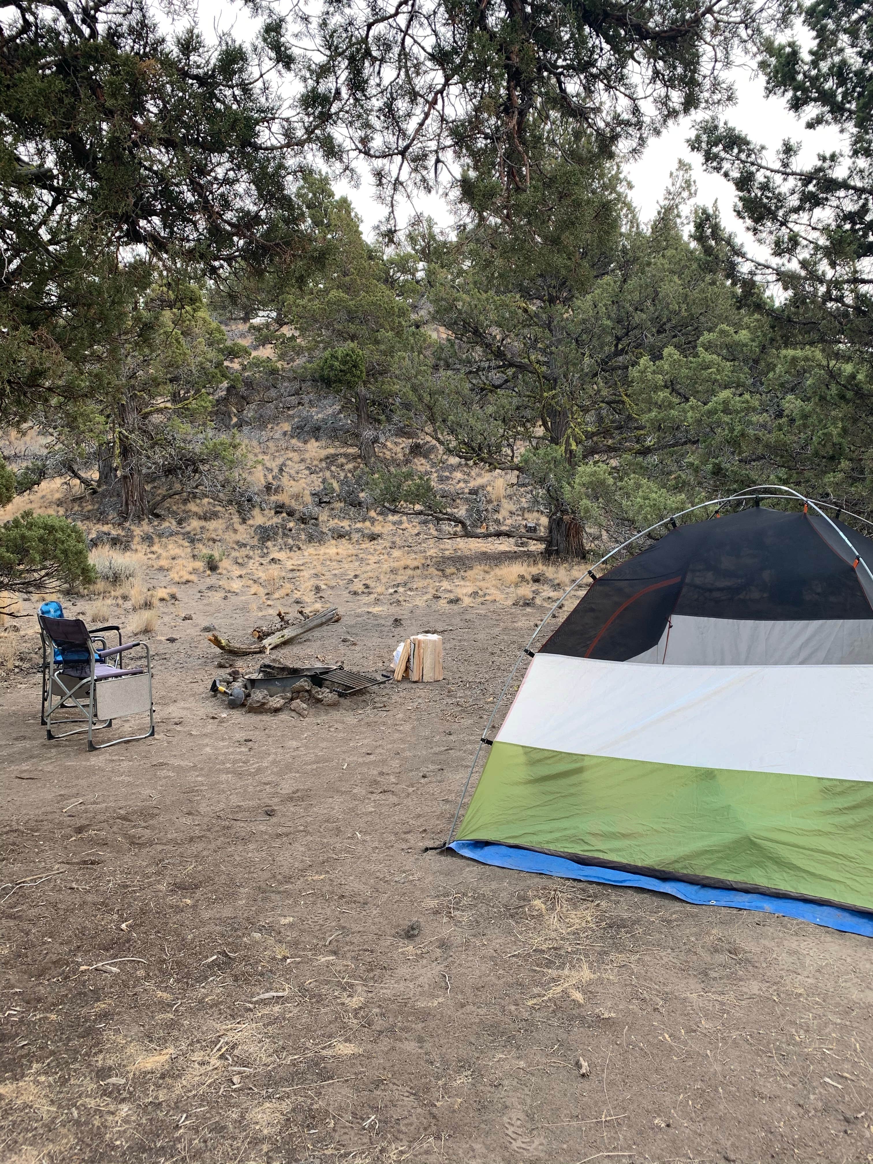 Anna's photo of tent camping at Green Mountain Campground near Christmas Valley, OR