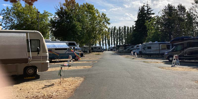 Camper submitted image from La Conner Marina RV Resort