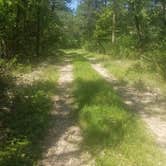 Review photo of Roaring River State Park Campground by Jennifer  M., August 29, 2020