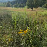 Review photo of Ward Pound Ridge Reservation by Susana M., August 29, 2020