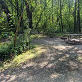 Review photo of Sunrise Campground — Richard Bong State Recreation Area by Josh F., August 29, 2020