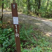 Review photo of Kettle Moraine Southern Unit — Kettle Moraine State Forest-Southern Unit by Josh F., August 29, 2020
