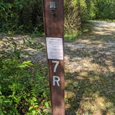 Review photo of Kettle Moraine Southern Unit — Kettle Moraine State Forest-Southern Unit by Josh F., August 29, 2020