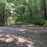 Review photo of Kettle Moraine Southern Unit — Kettle Moraine State Forest-Southern Unit by Josh F., August 29, 2020