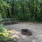 Review photo of Kettle Moraine Southern Unit — Kettle Moraine State Forest-Southern Unit by Josh F., August 29, 2020