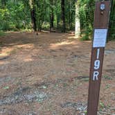 Review photo of Kettle Moraine Southern Unit — Kettle Moraine State Forest-Southern Unit by Josh F., August 29, 2020